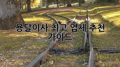 용달이사 최고 업체 추천 가이드