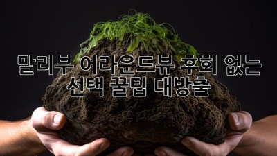 말리부 어라운드뷰: 후회 없는 선택? 꿀팁 대방출!