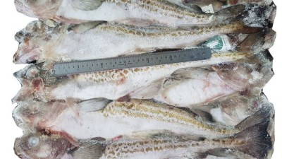 동태 21.5cm, 솔직 후기와 꿀팁 대방출!